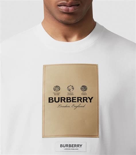 burberry oversized t shirt.